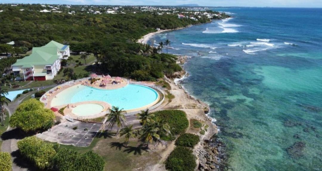 L'Oiseau Du Paradis Vue Mer Studio A Saint Francois A 100 M De La Plage Eksteriør billede