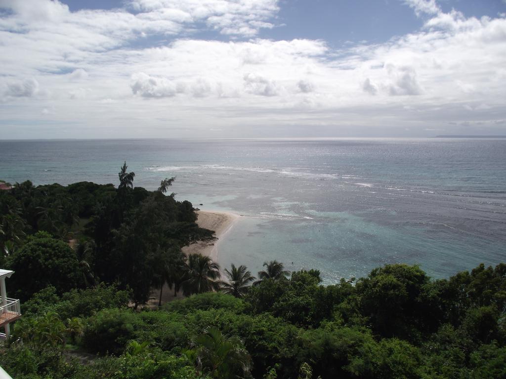 L'Oiseau Du Paradis Vue Mer Studio A Saint Francois A 100 M De La Plage Eksteriør billede